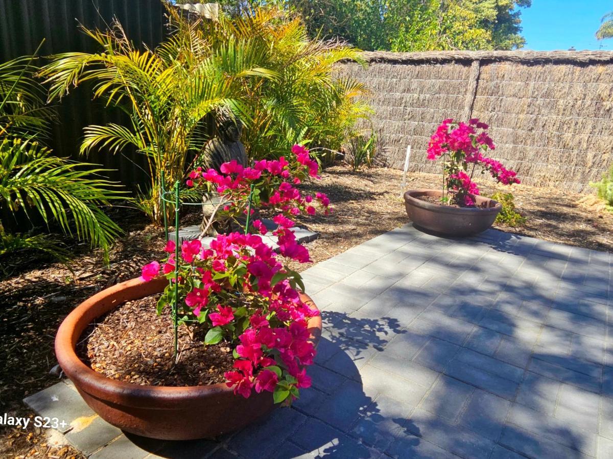 Tranquil Gumnut Cottage - Close To Airport Perth Bagian luar foto